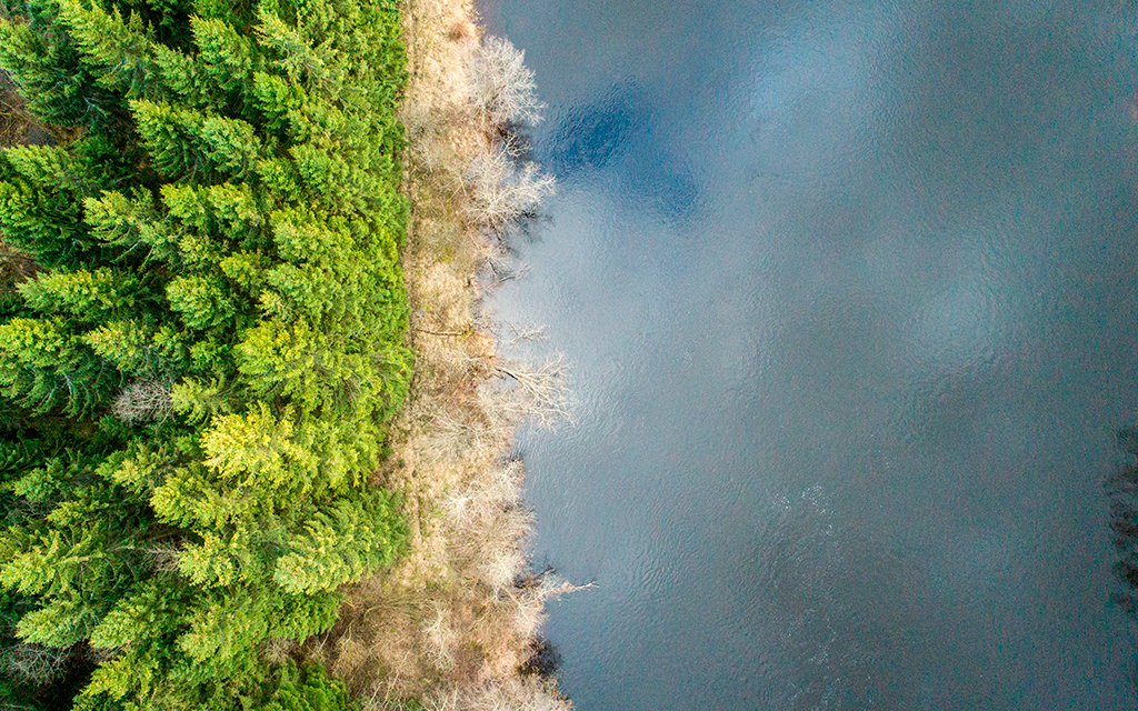 Aerial shot forest covered evergreens bare trees surrounded by lake.